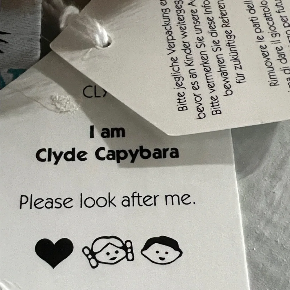 Jellycat clyde capybara (rare) - Picture 3 of 5